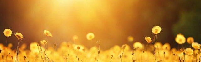 初次见面的寒暄经典句:（初次见面的寒暄语有哪些）