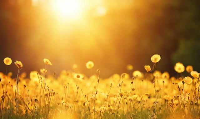 初次见面的寒暄经典句:（初次见面的寒暄语有哪些）