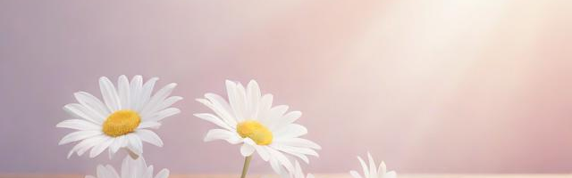 初次见面送花送几朵比较适合:（初次见面送几朵好合适）