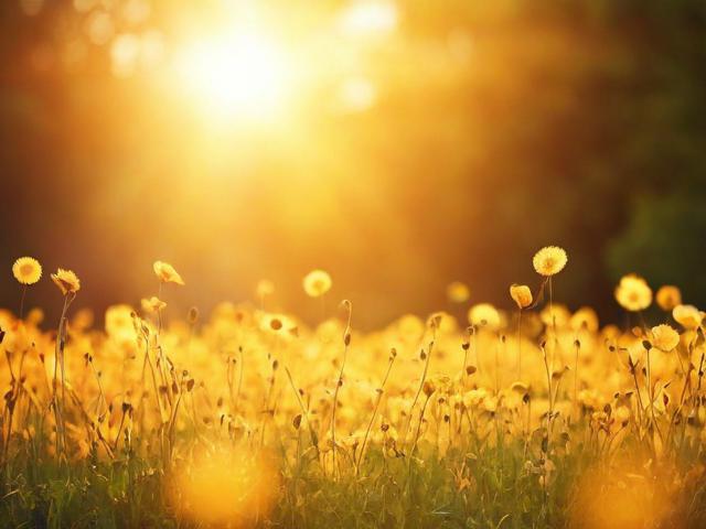 初次见面的寒暄经典句:（初次见面的寒暄语有哪些）